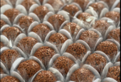 Brigadeiro Deliciosos